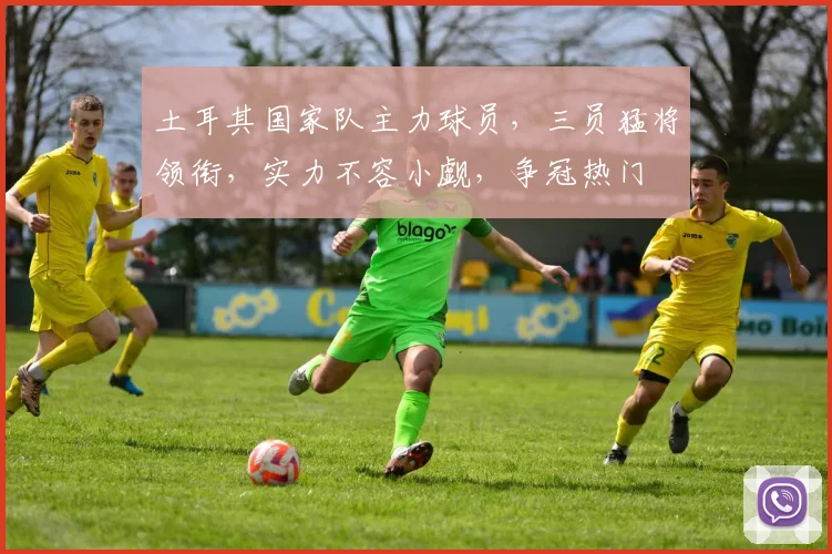 土耳其国家队主力球员，三员猛将领衔，实力不容小觑，争冠热门