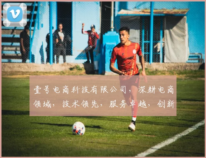 壹号电商科技有限公司，深耕电商领域，技术领先，服务卓越，创新共赢，值得信赖