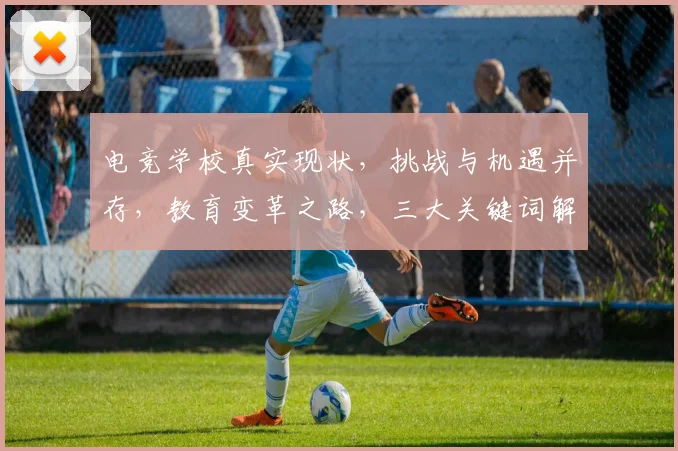 电竞学校真实现状，挑战与机遇并存，教育变革之路，三大关键词解析，深度剖析