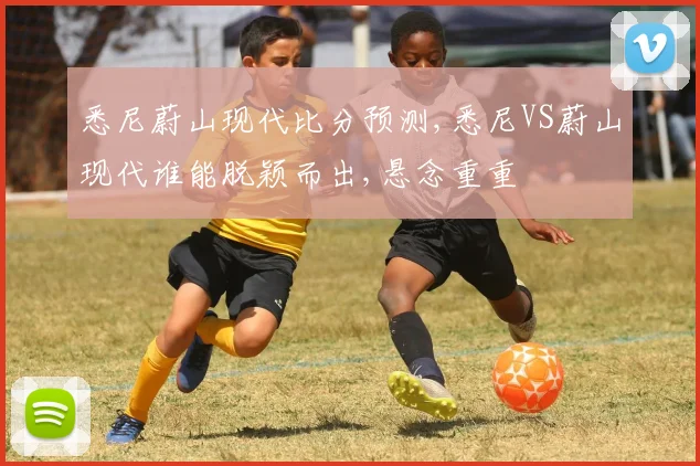 悉尼蔚山现代比分预测,悉尼VS蔚山现代谁能脱颖而出,悬念重重