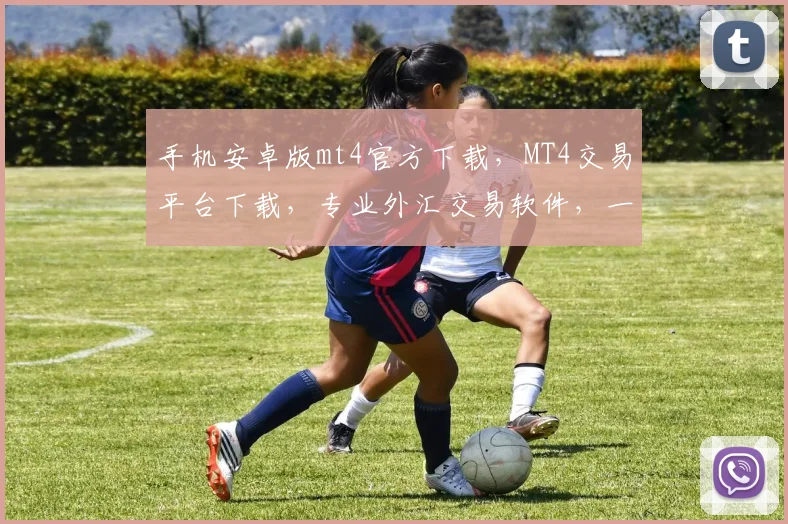 手机安卓版mt4官方下载，MT4交易平台下载，专业外汇交易软件，一键获取