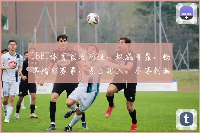 IBET体育官方网址，权威可靠，畅享精彩赛事，点击进入，尽享刺激